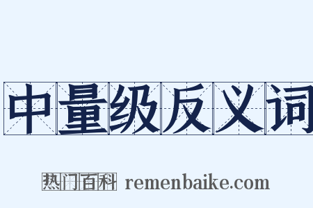 中量级反义词是什么意思的图片